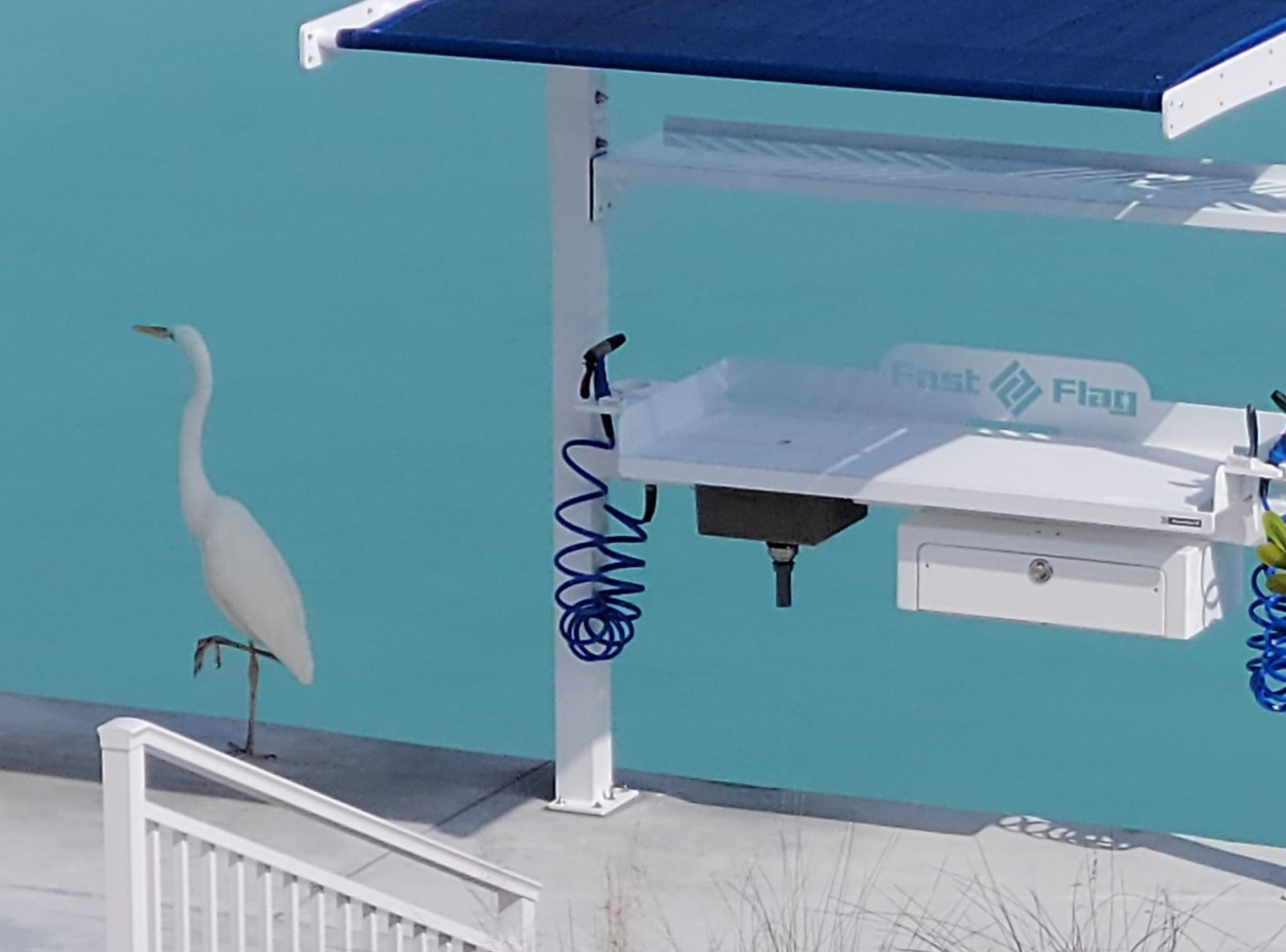 5' Edge View 4 5' Edge View 4