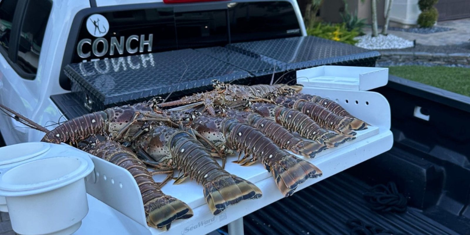 Bait Station View 3 Rod Holder Boat Cutting Board Bait Station View 3 Rod Holder Boat Cutting Board