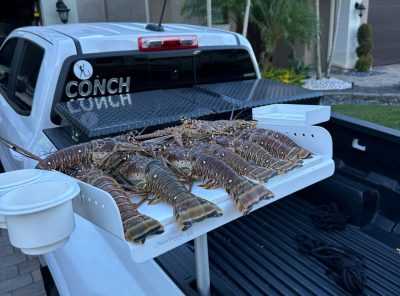 Bait Station View 3 Rod Holder Boat Cutting Board