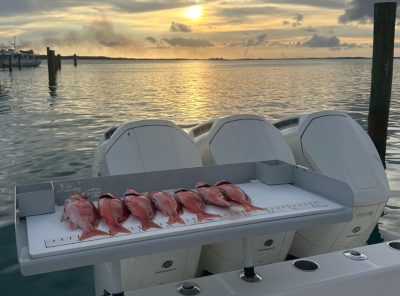 King Tide View 1 Deluxe Boat Fillet Table