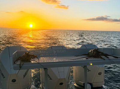 King Tide View 9 Deluxe Boat Fillet Table