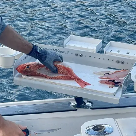 Boat Cutting Board