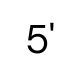 5'